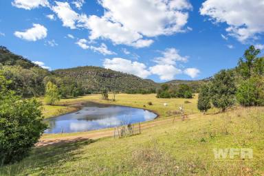 Farm Sold - NSW - Central Macdonald - 2775 - Fantastic Lifestyle Opportunity - 35 Acres with Macdonald River Frontage!  (Image 2)