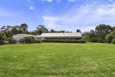 Farm Sold - VIC - Nicholson - 3882 - Two Acres with Two Substantial Homes  (Image 2)