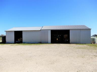 Farm Sold - SA - Tintinara - 5266 - Excellent Lucerne Grazing and Seed  (Image 2)