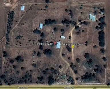 Farm Sold - WA - Nyabing - 6341 - 10 Hectare Hobby Farm  (Image 2)