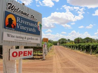 Farm For Sale - QLD - St George - 4487 - Riversands Vineyards  (Image 2)