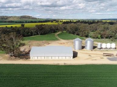 Farm Sold - NSW - Greenethorpe - 2809 - Elambone  (Image 2)