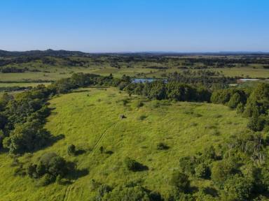 Farm Sold - NSW - Monaltrie - 2480 - Unique Vacant Land - 108 Acres - Stunning Views - 4kms Lismore CBD  (Image 2)
