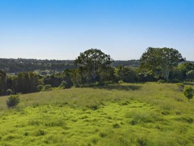 Farm Sold - NSW - Monaltrie - 2480 - Unique Vacant Land - 108 Acres - Stunning Views - 4kms Lismore CBD  (Image 2)