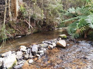 Farm For Sale - TAS - Irishtown - 7330 - 62.53Ha Set up for the Horse Enthusiast or Lifestyle/Grazing with Natural Bush Picnic area and Running Creek.  (Image 2)