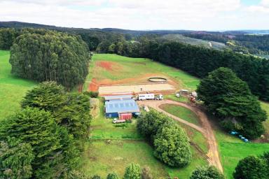 Farm For Sale - TAS - Irishtown - 7330 - 62.53Ha Set up for the Horse Enthusiast or Lifestyle/Grazing with Natural Bush Picnic area and Running Creek.  (Image 2)
