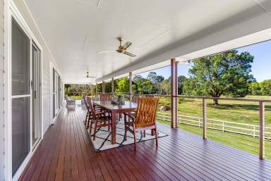 Farm Sold - QLD - Eudlo - 4554 - AMAZING LIFESTYLE ACREAGE WITH 2 DWELLINGS AND SUPERB ROI!  (Image 2)