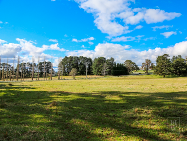 Farm Sold - NSW - Moss Vale - 2577 - First Time Offered In Almost 20 Years  (Image 2)