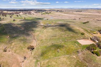 Farm Sold - NSW - Goulburn - 2580 - 100 ACRES RIVER FRONTAGE  (Image 2)