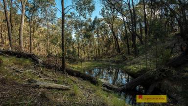Farm Sold - NSW - Mudgee - 2850 - BEST RURAL ESCAPE  (Image 2)