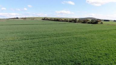 Farm Sold - VIC - Inverleigh - 3321 - HIGHLY PRODUCTIVE GEELONG DISTRICT COUNTRY  (Image 2)