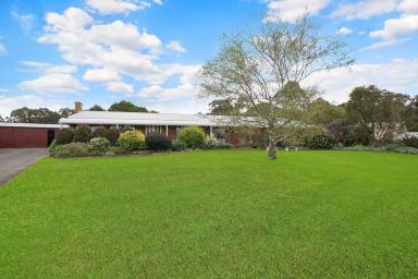 Farm Sold - VIC - Cobden - 3266 - Endless Opportunities  (Image 2)