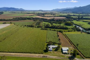 Farm For Sale - QLD - Aloomba - 4871 - YOUR PIECE OF PARADISE AWAITS  (Image 2)