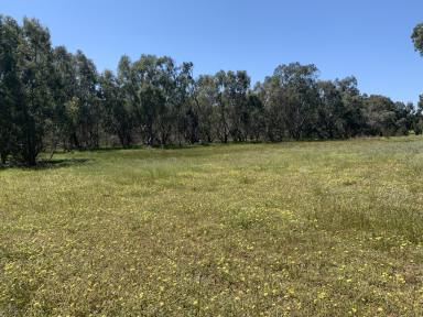 Farm Sold - WA - Bakers Hill - 6562 - Vacant Land  (Image 2)