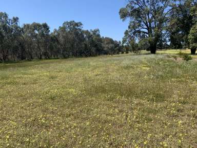 Farm Sold - WA - Bakers Hill - 6562 - Vacant Land  (Image 2)