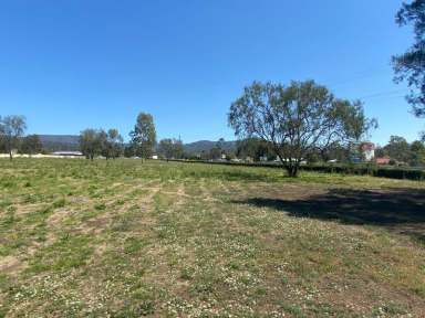 Farm Sold - QLD - Withcott - 4352 - Investor Opportunity in Fast Growing Location  (Image 2)