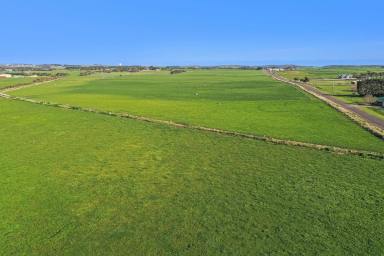 Farm Sold - VIC - Illowa - 3282 - MAJESTIC RURAL VIEWS ON 39.53 ACRES (approx)  (Image 2)