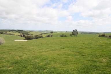 Farm Sold - VIC - Coleraine - 3315 - "SIZZLEDALE" 142 ACRES - AUCTION NOVEMBER 5TH 2021  (Image 2)