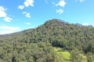 Farm Sold - NSW - Kyogle - 2474 - 9.90 ACRES CLOSE TO THE BORDER RANGES  (Image 2)
