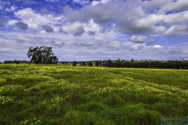 Farm Sold - WA - Dinninup - 6244 - UNDER OFFER, UNDER OFFER, UNDER OFFER  (Image 2)