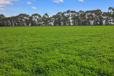 Farm Sold - VIC - Bamganie - 3333 - EXCELLENT GEELONG DISTRICT MIXED FARMING ENTERPRISE  (Image 2)