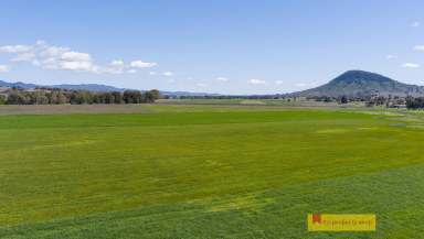 Farm Sold - NSW - Mudgee - 2850 - PRISTINE FARMLAND ON THE DOORSTEP OF MUDGEE  (Image 2)