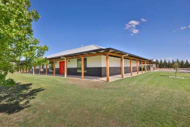 Farm Sold - VIC - Merbein West - 3505 - COME ENJOY TOTAL TRANQUILLITY  (Image 2)