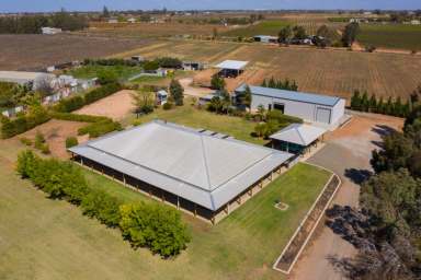 Farm Sold - VIC - Merbein West - 3505 - COME ENJOY TOTAL TRANQUILLITY  (Image 2)