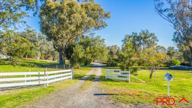 Farm Sold - NSW - Tamworth - 2340 - "Glenorchy" Feel The Serenity  (Image 2)
