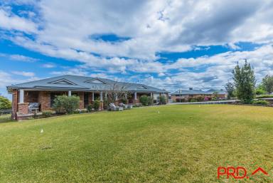 Farm Sold - NSW - Tamworth - 2340 - A Perfect Piece of Paradise  (Image 2)