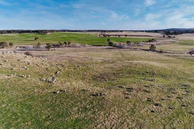 Farm Sold - NSW - Bungonia Via Goulburn - 2580 - “SPRING PONDS” FIRST TIME OFFERED IN OVER 100 YEARS   (Image 2)