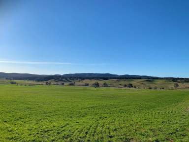 Farm Sold - NSW - Bungonia Via Goulburn - 2580 - “SPRING PONDS” FIRST TIME OFFERED IN OVER 100 YEARS   (Image 2)