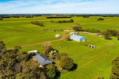 Farm Sold - VIC - Nullawarre - 3268 - TOP QUALITY ATTRACTIVE WARRNAMBOOL DISTRICT PROPERTY  (Image 2)