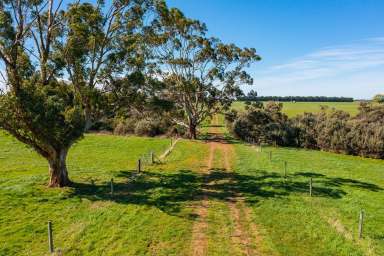 Farm Sold - VIC - Nullawarre - 3268 - TOP QUALITY ATTRACTIVE WARRNAMBOOL DISTRICT PROPERTY  (Image 2)