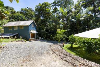 Farm Sold - QLD - Daintree - 4873 - A buyer offer has been accepted.  (Image 2)