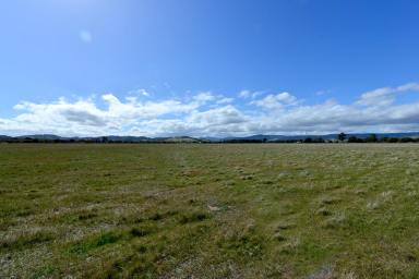 Farm Sold - TAS - Penna - 7171 - 100 acres ready for you to create your dream farm  (Image 2)