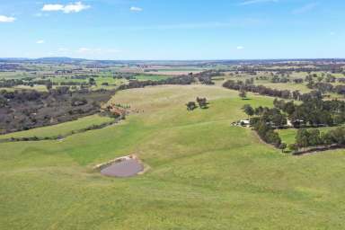 Farm Sold - VIC - Glenaladale - 3864 - 'MOONDARA' 249 Acres of pristine pasture & great water supply  (Image 2)