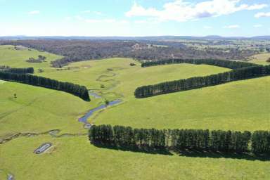 Farm Sold - VIC - Glenaladale - 3864 - 'MOONDARA' 249 Acres of pristine pasture & great water supply  (Image 2)