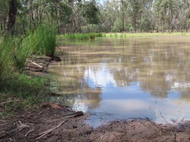 Farm Sold - QLD - Canning Creek - 4357 - Good Grazing with Lots of Water  (Image 2)