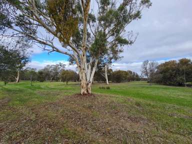 Farm Sold - WA - Highbury - 6313 - What Rat Race?! $195,000  (Image 2)