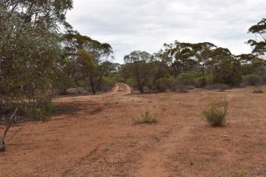 Farm Sold - SA - Sedan - 5353 - CLASSIC BUSH HUT  (Image 2)