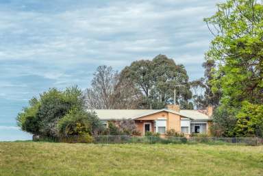 Farm Sold - VIC - Tarrington - 3301 - Lifestyle Farmlet in Picturesque Tarrington  (Image 2)