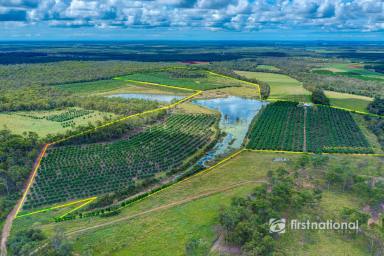 Farm For Sale - QLD - South Kolan - 4670 - THRIVING MANGO FARM ONLY 25 MINS TO BUNDABERG  (Image 2)