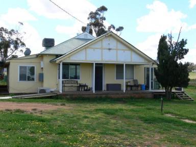 Farm Sold - NSW - Grenfell - 2810 - Hillview  (Image 2)