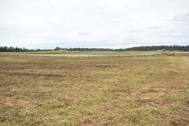 Farm Sold - QLD - Tinana South - 4650 - Ready Set Build  (Image 2)