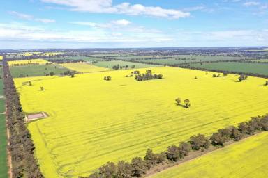 Farm Sold - NSW - Temora - 2666 - 313 Acres on the Fringe of Town  (Image 2)
