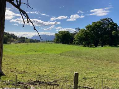 Farm For Sale - NSW - Bellingen - 2454 - Riverfront location in Bellingen  (Image 2)