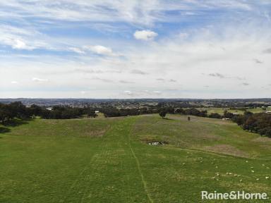 Farm For Sale - NSW - Young - 2594 - BUILD YOUR NEXT DREAM HOME ON A PRISTINE ACREAGE BLOCK!  (Image 2)