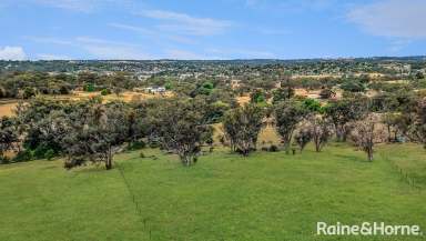 Farm For Sale - NSW - Young - 2594 - GOING GOING NEARLY GONE  (Image 2)