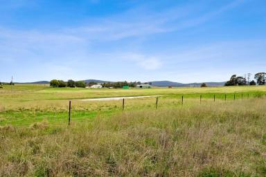 Farm Sold - NSW - Goulburn - 2580 - "SUMMER HAZE"  (Image 2)